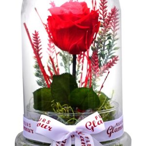 Eternal rose RER1
