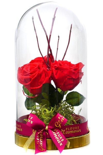 Rose éternelle RER2